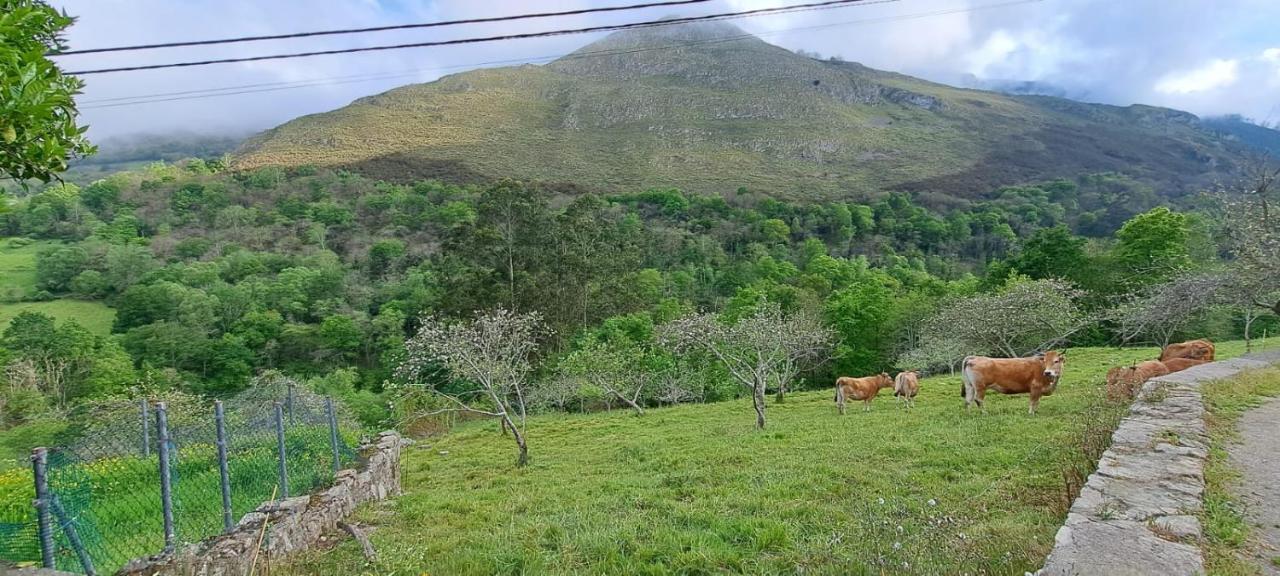 Llanes-Llumedian Villa Dış mekan fotoğraf